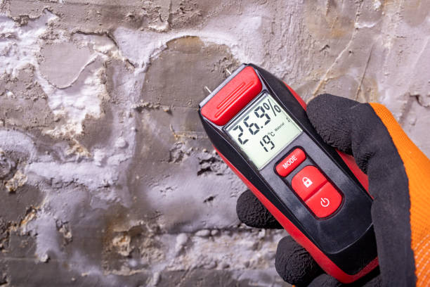 Best Attic Mold Removal  in Fort Washington, PA