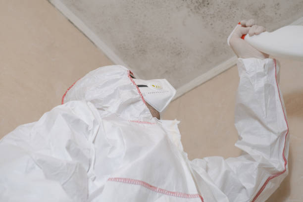 Fort Washington, PA Mold Removal Company
