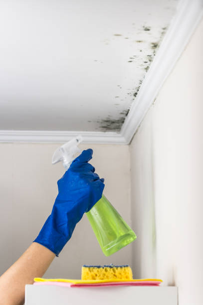Best Crawl Space Mold Removal  in Fort Washington, PA